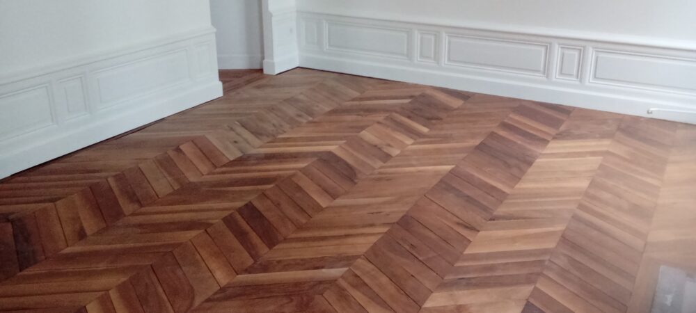 Particulier pose en point de Hongrie